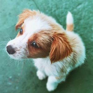 Meet your Posher, Edwin